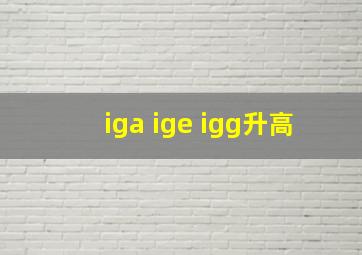 iga ige igg升高